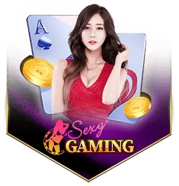 pg slot แตกง่าย แจ็ ค พอ ต แตกบ่อย